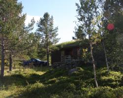 Lemonsjø Fjellstue og Hyttegrend