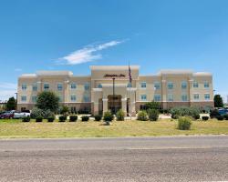 Hampton Inn Fort Stockton