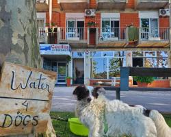 Pereira Guesthouse Cecilia Inn