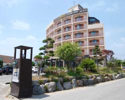 Incheon Airport Hotel Oceanview