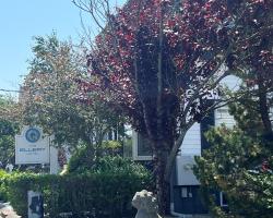 Ellery Hotel Provincetown