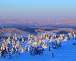 Sjusjøen Hytteutleie