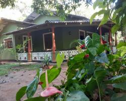 Green Bamboo House