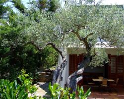 Pura Vida Eco House