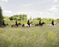 Tihuse Horsefarm B&B