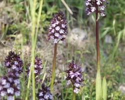 Les Histoires D'A...