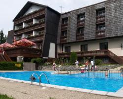 Hotel Pavla Vysočina