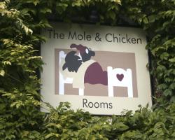 The Mole and Chicken