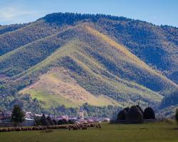 Picturesque Village in Transylvania