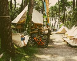 Dreamsea Surf Camp