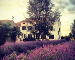 Agriturismo Viridarium
