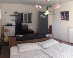 Apartma Hudovernikova