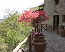 Agriturismo Molino Paradiso