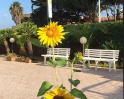 B&B Fiori Gialli Caucana