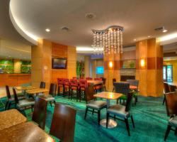 SpringHill Suites by Marriott - Tampa Brandon