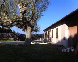 Temple Farm - 18th Century Provençal Farmhouse