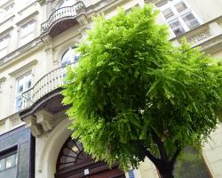 Basilica Central Apartman