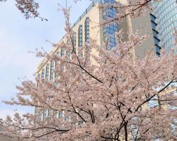 Grand Hyatt Tokyo