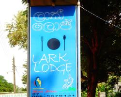 Lark Lodge