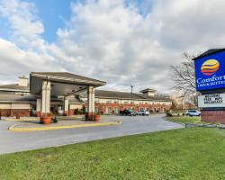 Comfort Inn & Suites Ambassador Bridge