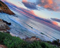 La Rosa dei Venti B&B