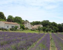 Les Ânes de Forcalquier