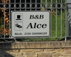 B&B Alce