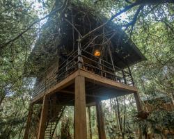 INN On The Tree Eco Resort Sigiriya