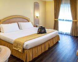 Best Western Park Hotel Roma Nord