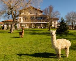 Casa Rural Flor de Vida - B&B