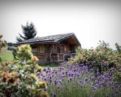 Hôtel Le Manoir des Montagnes
