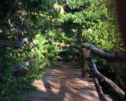 Tree Top Eco-Lodge