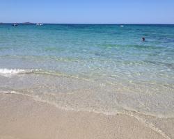 Mare di Sardegna