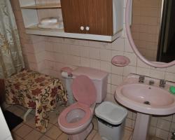 El Leon de Buenos Aires