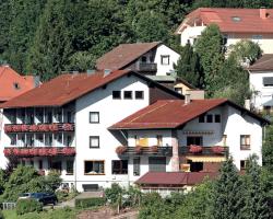 Aparthotel Schwarzwald Panorama