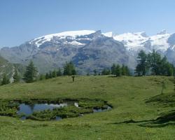 Champoluc Apartment