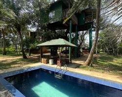 Yala Eco Tree House