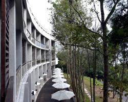 Sun Moon Lake Bamboo Rock Garden