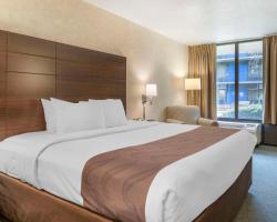 Quality Inn Vienna - Tysons Corner