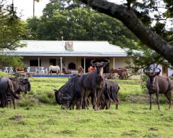 Santa Paloma Guest Farm