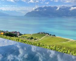 Baron Tavernier Hotel Restaurant & SPA