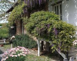 La Locanda Del Molino