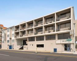 Oceanic Hotel & Barefoot Tiki Bar