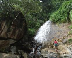Chai Guesthouse Munnar