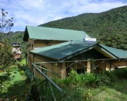 The Forest Bungalow