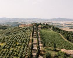 Wine Relais In Montecucco - ColleMassari Hospitality