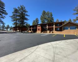 Motel In The Pines