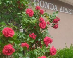 Gonda Apartments