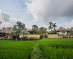 Ubud Luwih Nature Retreat