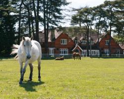 Beaulieu Hotel